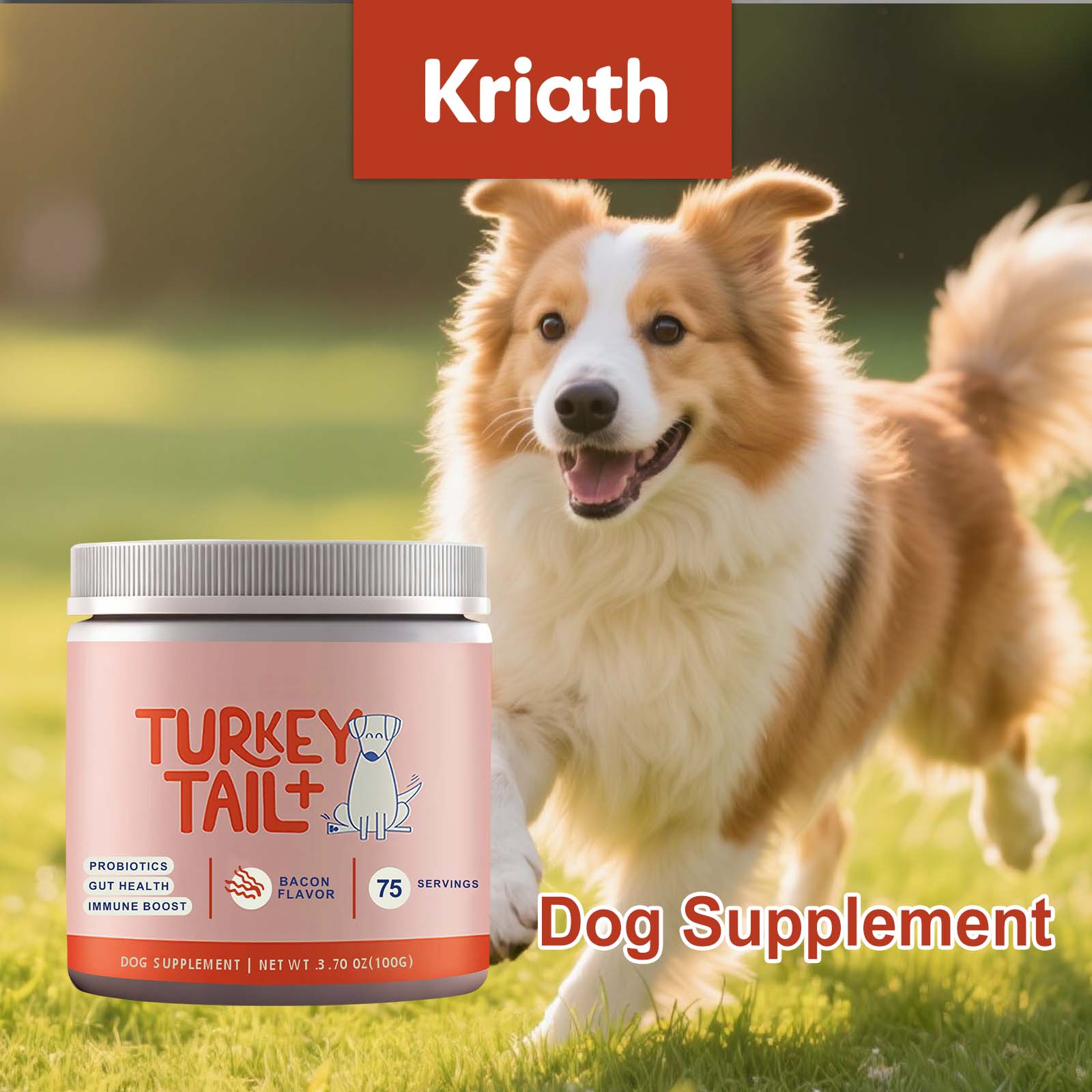 Canine Probiotic Powder Intest - Health Wellness Vitality recension och pris
