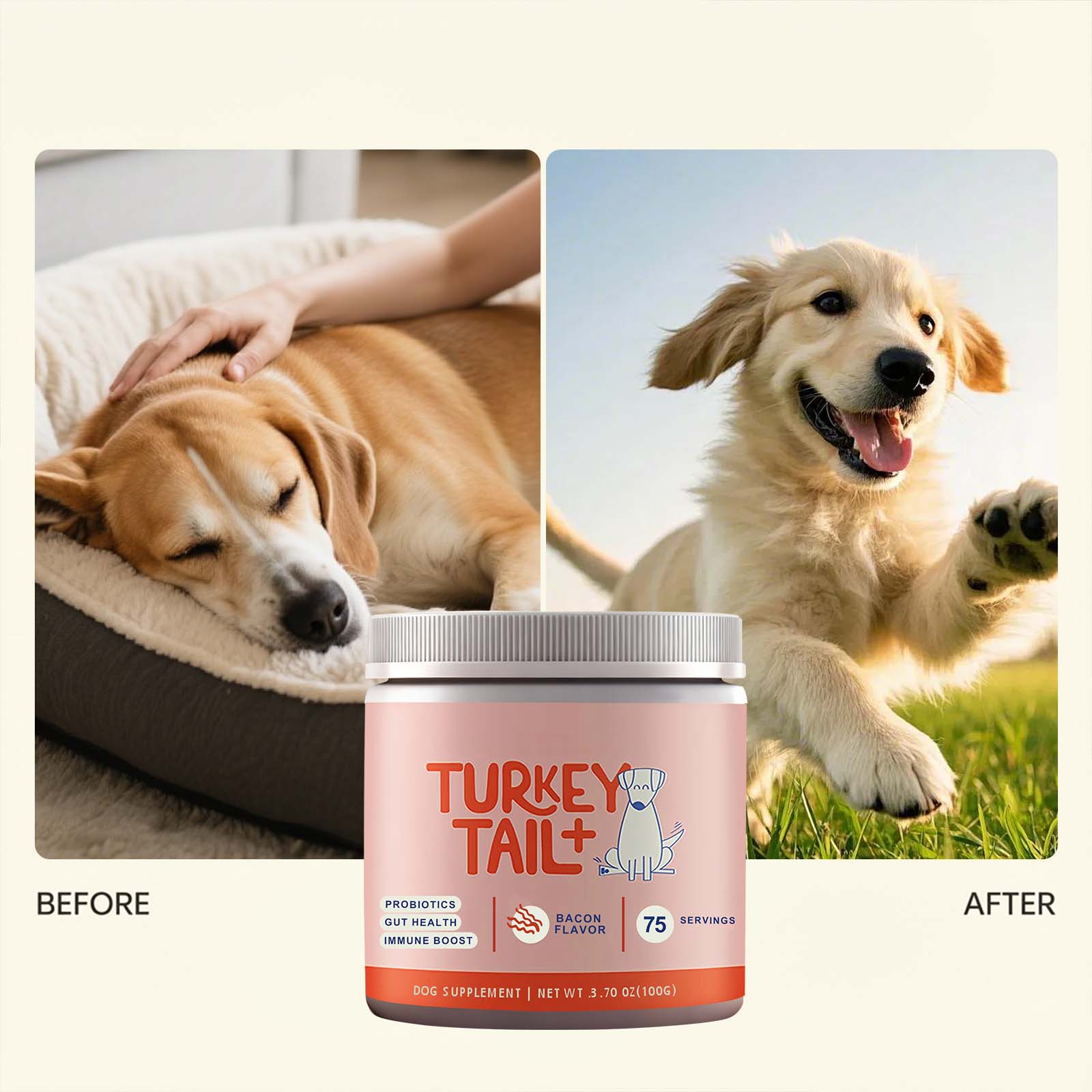 Canine Probiotic Powder Intest - Health Wellness Vitality recension och pris