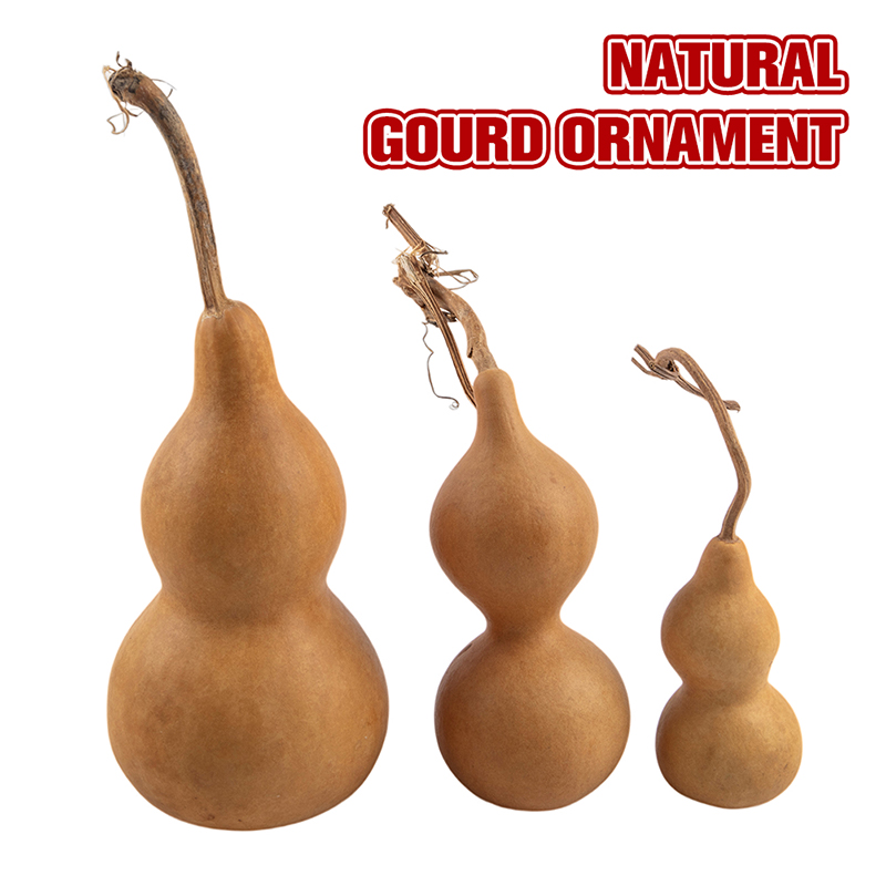 1pc Natural Gourd Handicraft O - Longevity Health & Wellness Hotel recension och pris