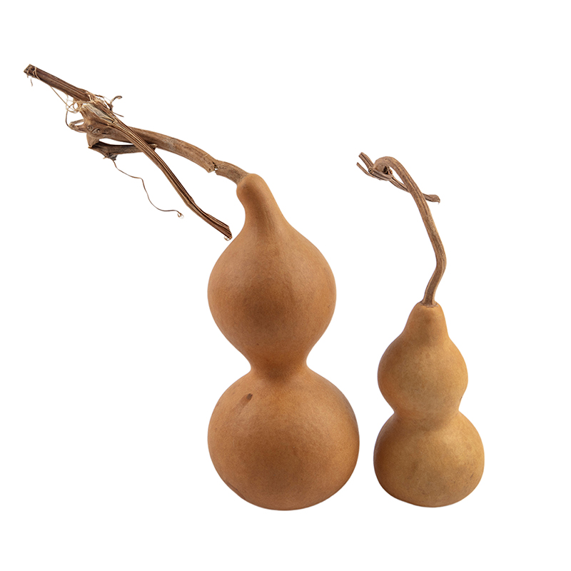 1pc Natural Gourd Handicraft O - Longevity Health & Wellness Hotel recension och pris