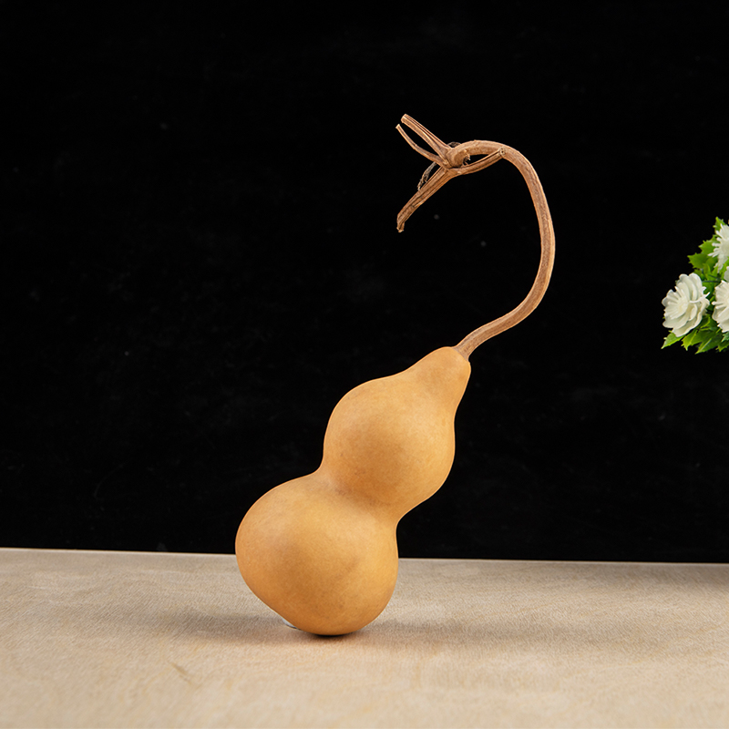 1pc Natural Gourd Handicraft O - Longevity Health & Wellness Hotel recension och pris