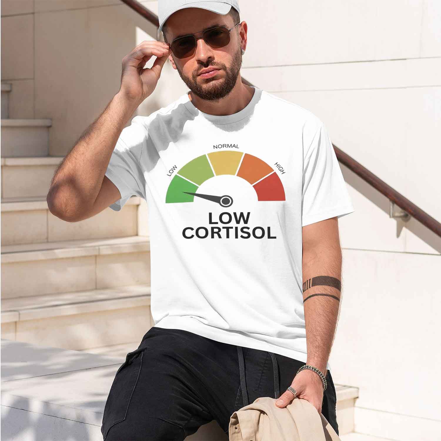 Causal Style Men's T-Shirt Low - Health Wellness Gifts For Men recension och pris
