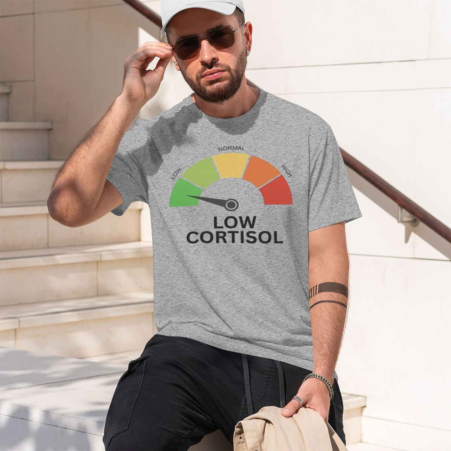 Causal Style Men's T-Shirt Low - Health Wellness Gifts For Men recension och pris