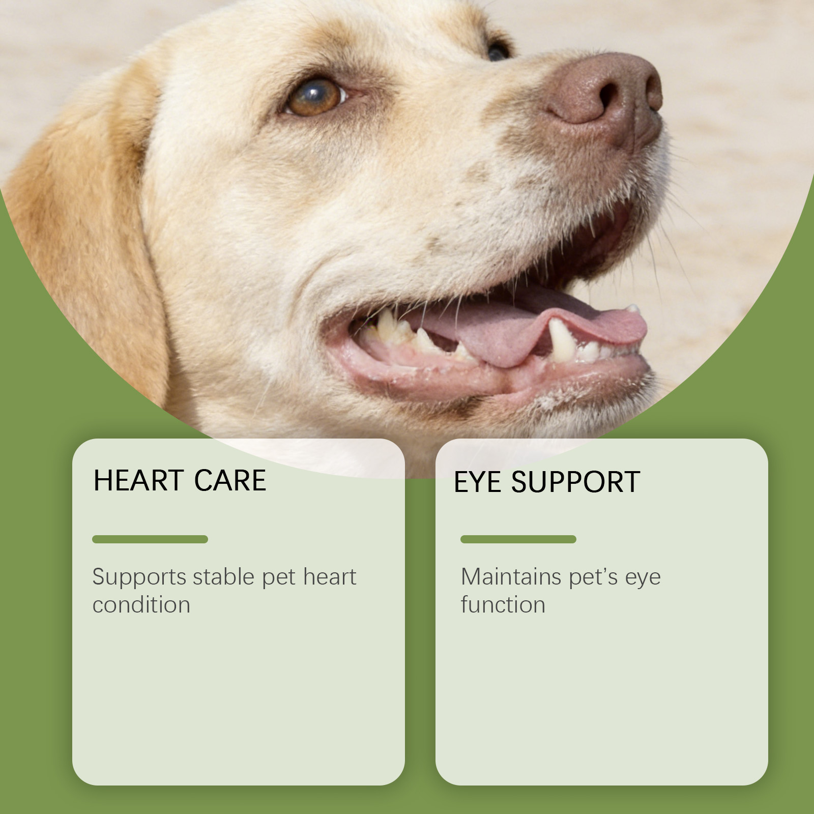 Dog Taurine Powder Easy-To-Mix - Wellness Health Nutrition recension och pris